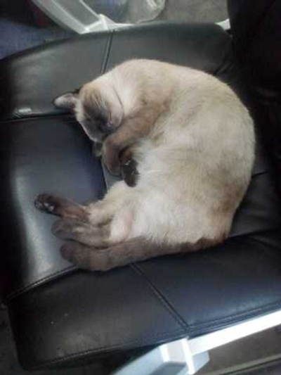 Печать фотографий А4