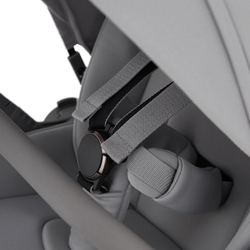 Детская коляска Anex Flo 2 в 1 Frossy