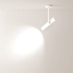 Потолочный светильник Technical C020CL-01W