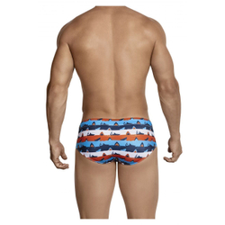 Мужские плавки мультиколор Clever Macrino Swimsuit Brief 069205