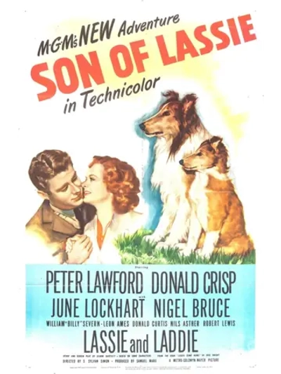 Сын Лесси (1945) (DVD-R)