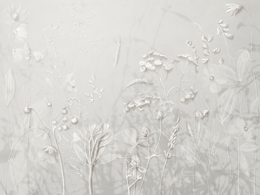 Коллекция BOZZETTO