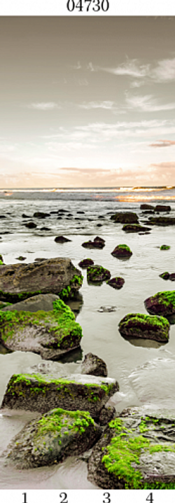 Панель ПВХ фотопечать 3D Panda Релакс 2700х250 мм