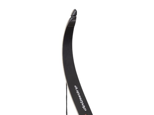Лук рекурсивный Stinger Delaware, 30 lbs/13,6 кг, длина 56 дюймов, алюминий (SG-BOW-F-30-BLK)