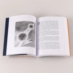 Сто лет недосказанности