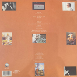 Виниловая пластинка Lone Justice - Shelter LP