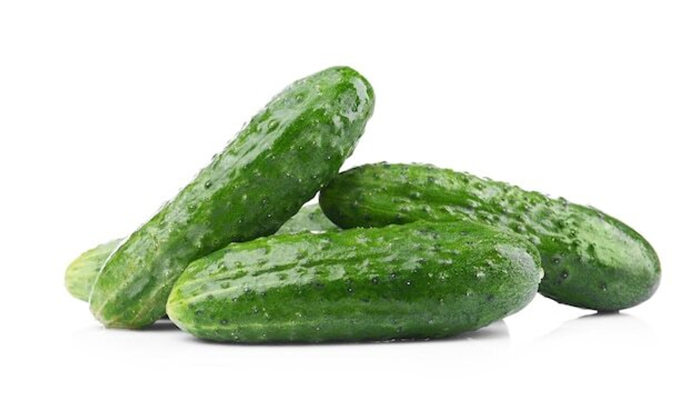 Огурцы тепличные