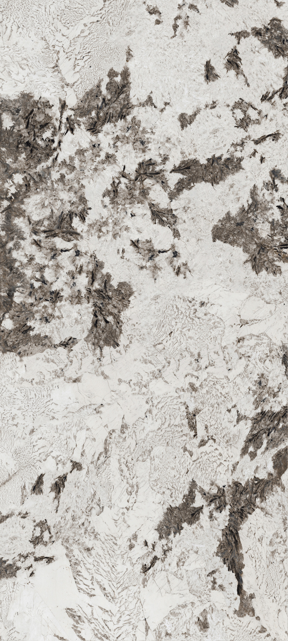 BUTTERFLY LOVE & GOLDEN FLOWER