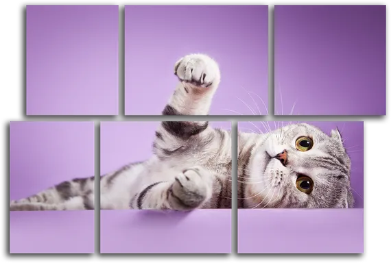 Модульная картина "Кот на фиолетовом фоне"