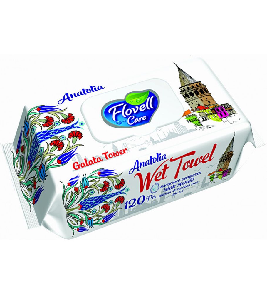 САЛФЕТКИ ВЛАЖНЫЕ FLOVELL CARE АНТИБАКТЕРИАЛЬНЫЙ 120ШТ