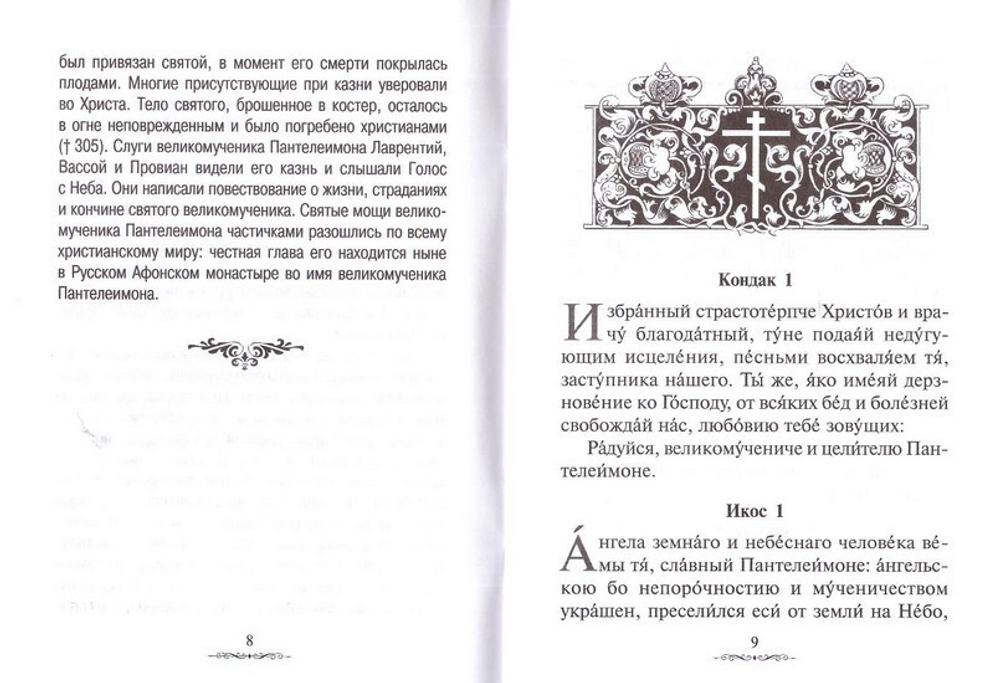 Святые врачи, целители, бессребреники. Жития и акафисты