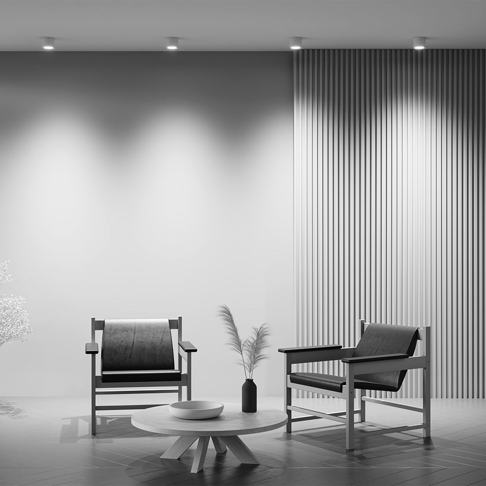 Светильник потолочный Maytoni Rendo C095CL-GX53-W