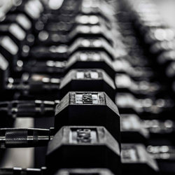 Гантель гексагональная обрезиненная PROFI-FIT 17,5 кг