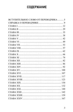 Мой берлинский ребёнок. Анн Вяземски.