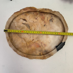 Набор из окаменелого дерева 3 предм Fossil Set NF-63080 поднос 29см*34см