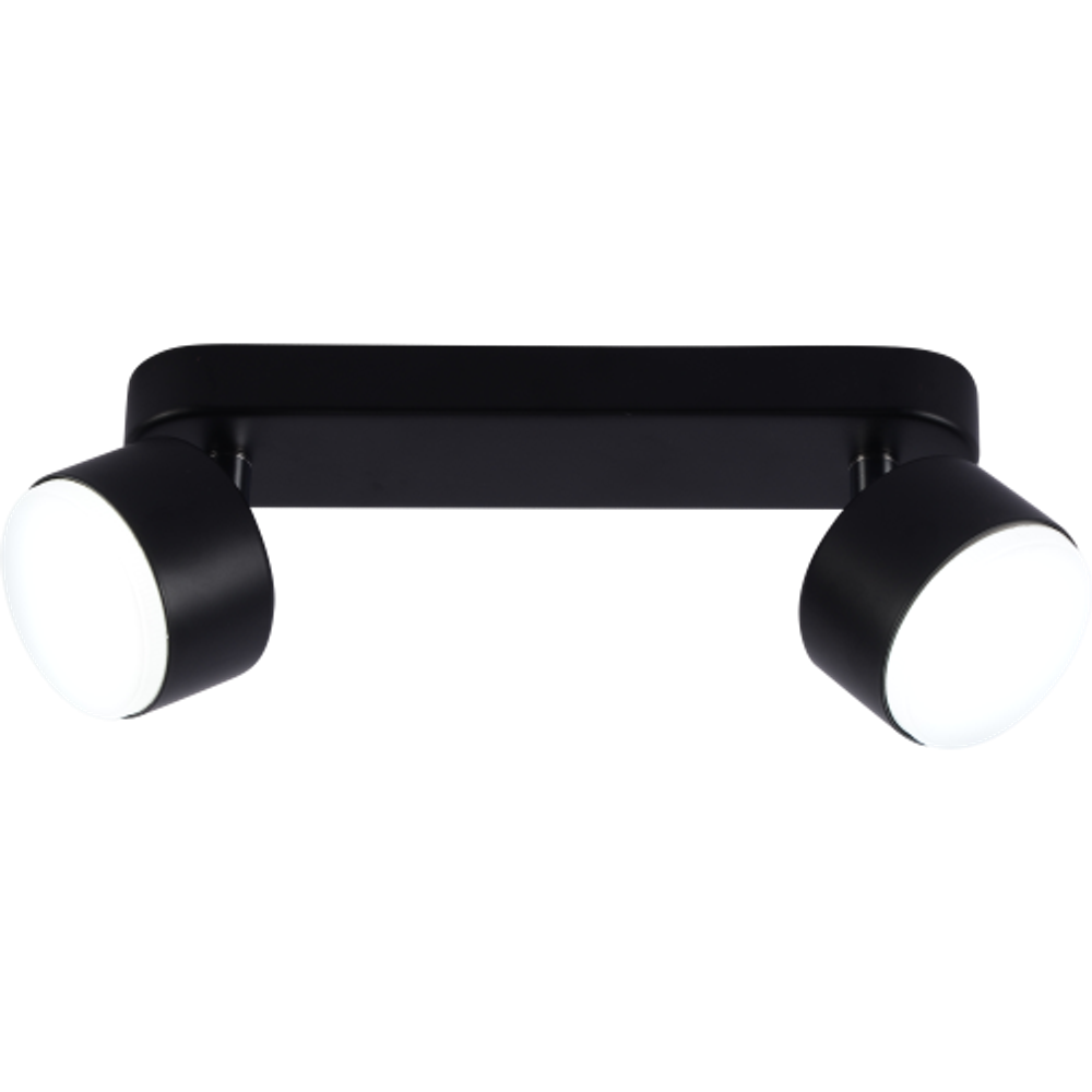 Светильник настенно-потолочный спот Rivoli Alesta 7079-702 2хGX53 15 Вт поворотный | Rivoli