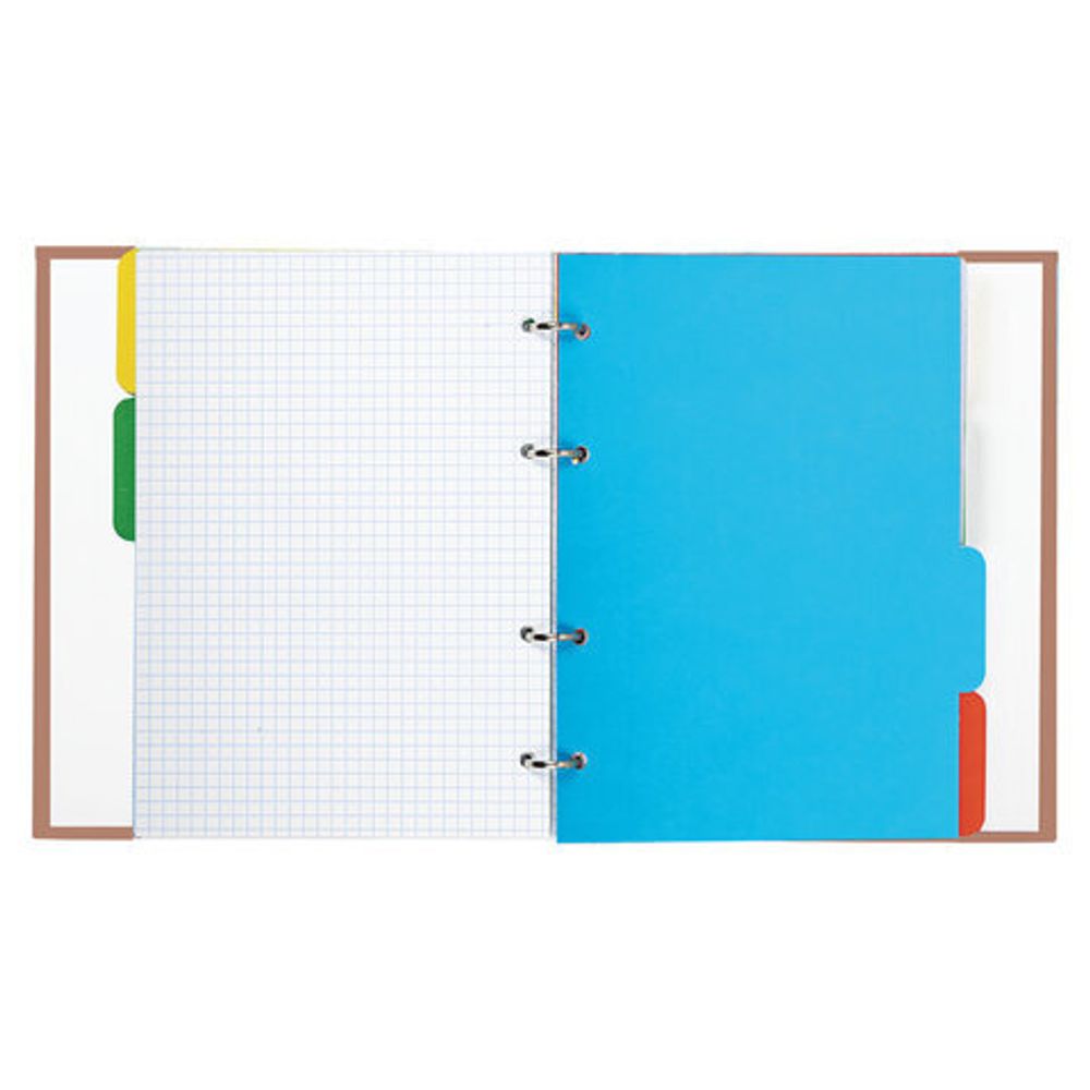 Тетрадь на кольцах А5 175х215 мм, 240 л., твердый картон, с разделителями, BRAUBERG, "Cool Girl", 404100