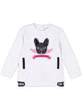 Свитшот COCCODRILLO LITTLE REBEL