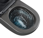 Унитаз подвесной Tornado Gid Tr2122TF-Bm 62261Y черный матовый 49x36x36