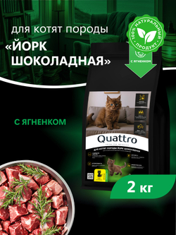 Корм сухой для котят породы Йорк шоколадная, с ягненком, 2кг, QUATTRO