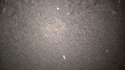 Двигатель Yamaha FJR1300A 2010 P510E