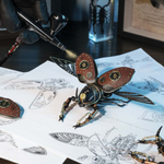 Жук-носорог (Rhinoceros Beetle) MI01 от ROKR - Конструктор, сборная механическая модель, 3D пазл, для интерьера