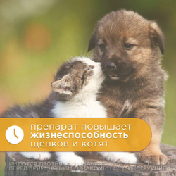 Витаминный препарат для профилактики и лечения гиповитаминозов АВЗ ВИТТРИ для собак и кошек, 20 мл