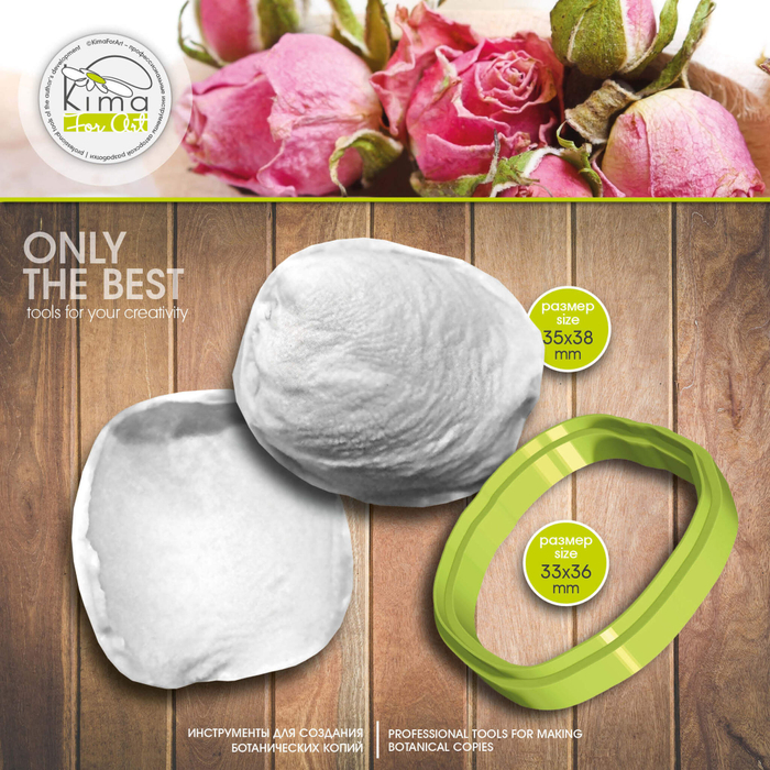 Роза лепесток увядший