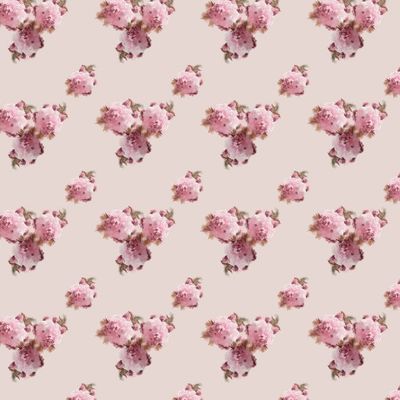 Цветение сакуры