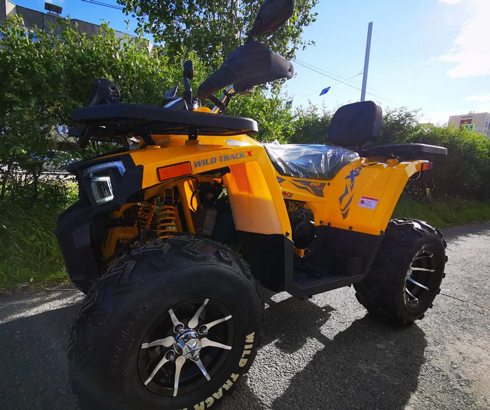 Квадроцикл MOTOLAND (МОТОЛЕНД) 200 WILD TRACK X PRO-SPORT (баланс.вал)