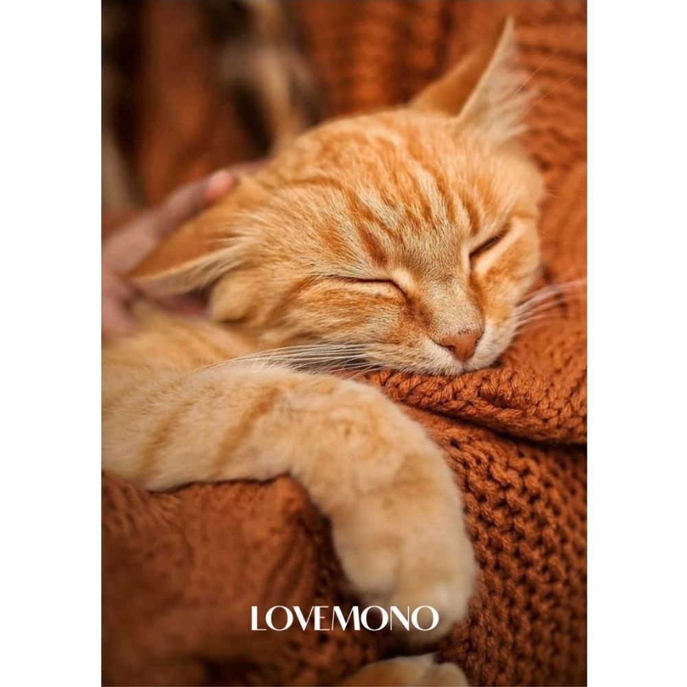 Бесплатная открытка в подарок к заказу