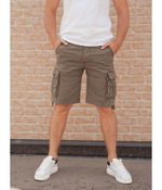 Шорты Aviator