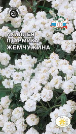 Томат Катя Семко