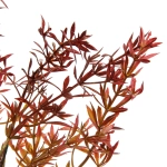 Искусственные цветы «Волшебство трав» 38см Аспарагус красный