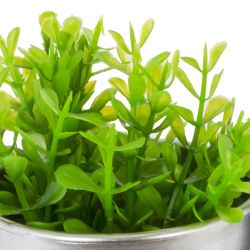 GAEM Цветочная композиция, L8,5 W8,5 H19 см, 2в.