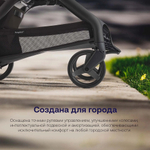 Прогулочная коляска Bugaboo Dragonfly complete Graphite/Midnight Black-Skyline Blue
