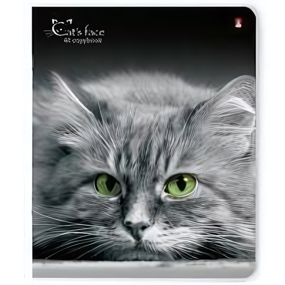 Тетрадь 48л. клетка "Кошки.Яркий взгляд"в ассортименте (Альт)