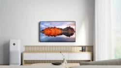 Телевизор Xiaomi Mi TV A2 43 FHD (L43M8-AFRU)