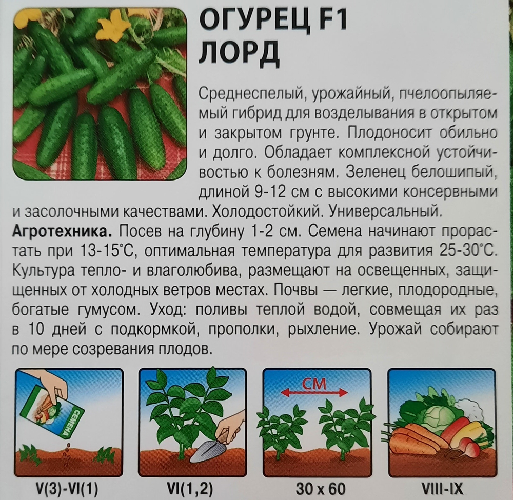 Семена овощей и зелени, набор 10шт