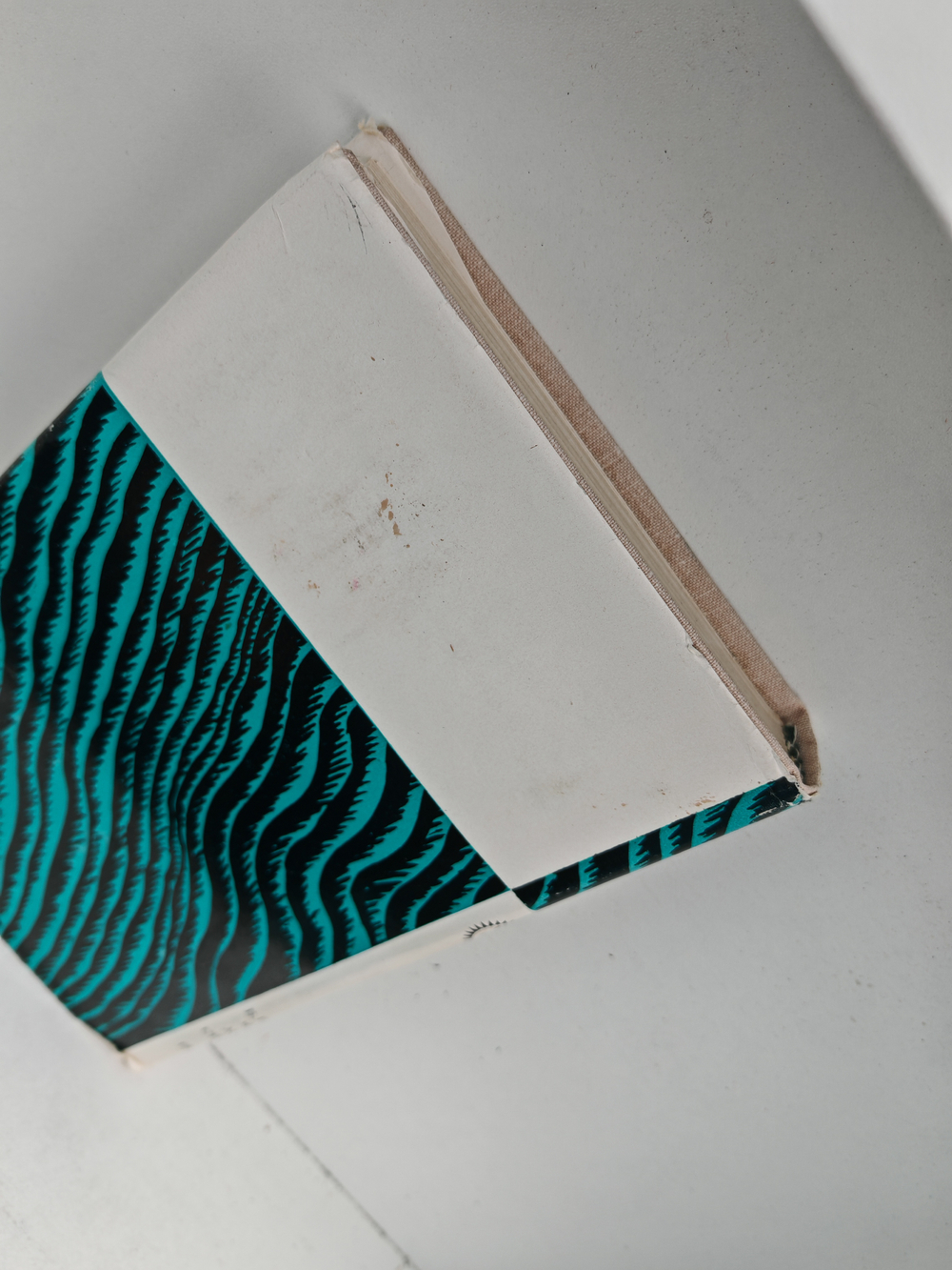 Чёрные лебеди. Странное это ремесло