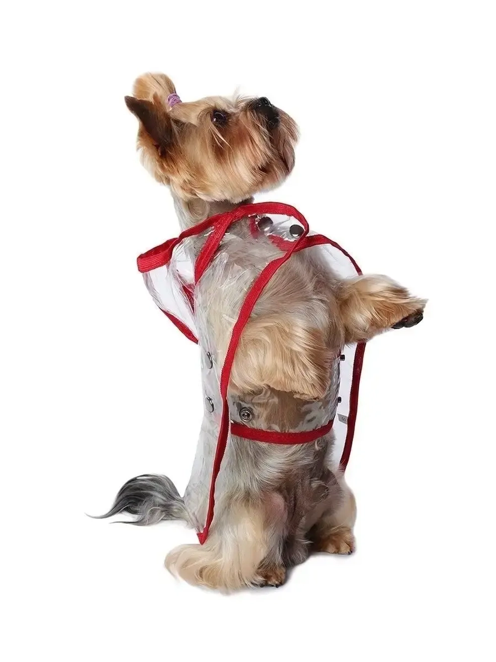 Дождевик для собак мелких средних пород