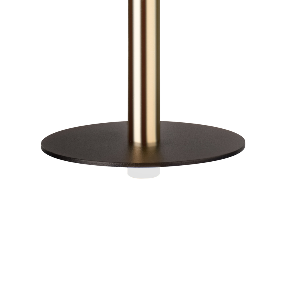 Подвесной светодиодный светильник Loft It Reed 10358/830 Disk AB