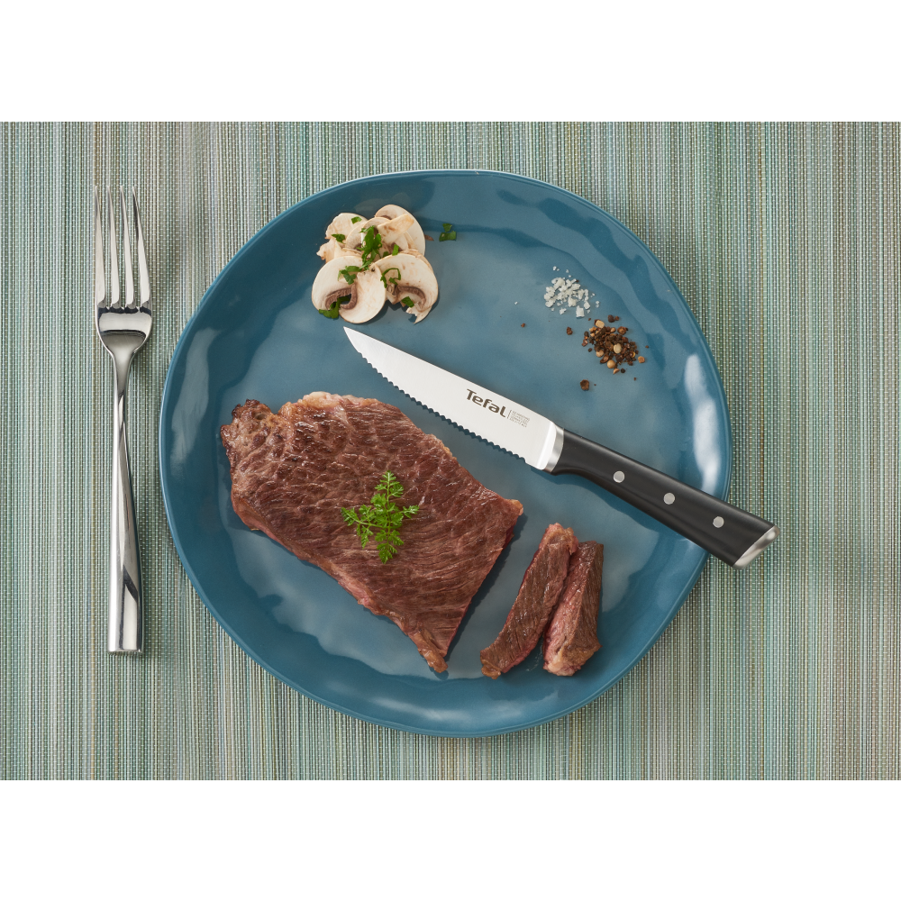Набор из 4 ножей для стейка Tefal Ice Force K232S414