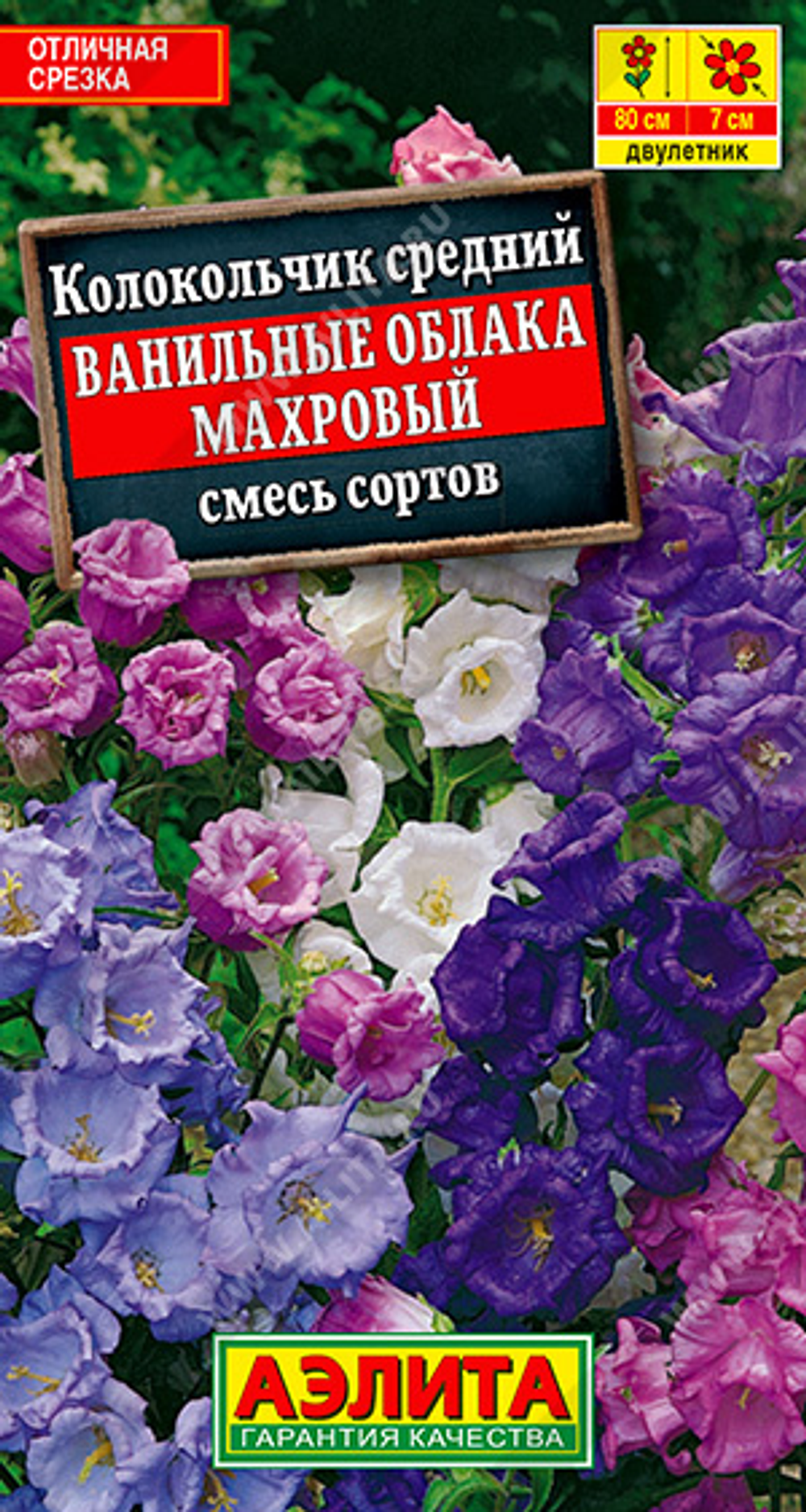 Колокольчик Ванильные облака, смесь сортов
