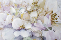 Картина 80х80см Tomas Stern 81004