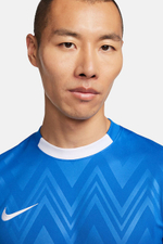 Футболка Nike Dri-FIT Challenge V