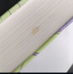 История ингерманландских финнов (у)