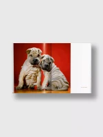 Книга Dogs.Walter Chandoha. Photographs 1941-1991 (Taschen)