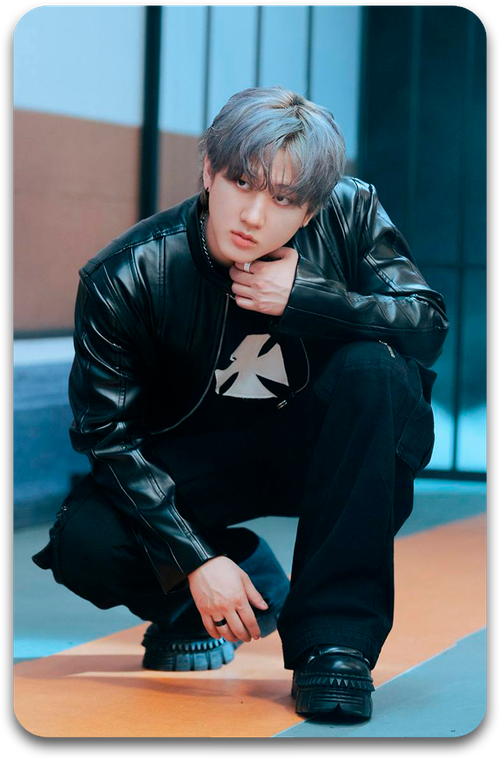 Карта / STRAY KIDS #2967