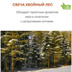 Свеча зеленая новогодняя, Хвойный лес 120 мл